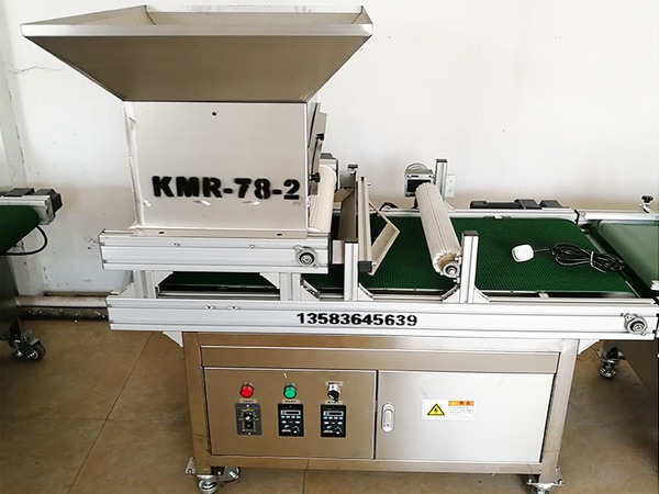  山東全自動(dòng)播種機(jī)廠家